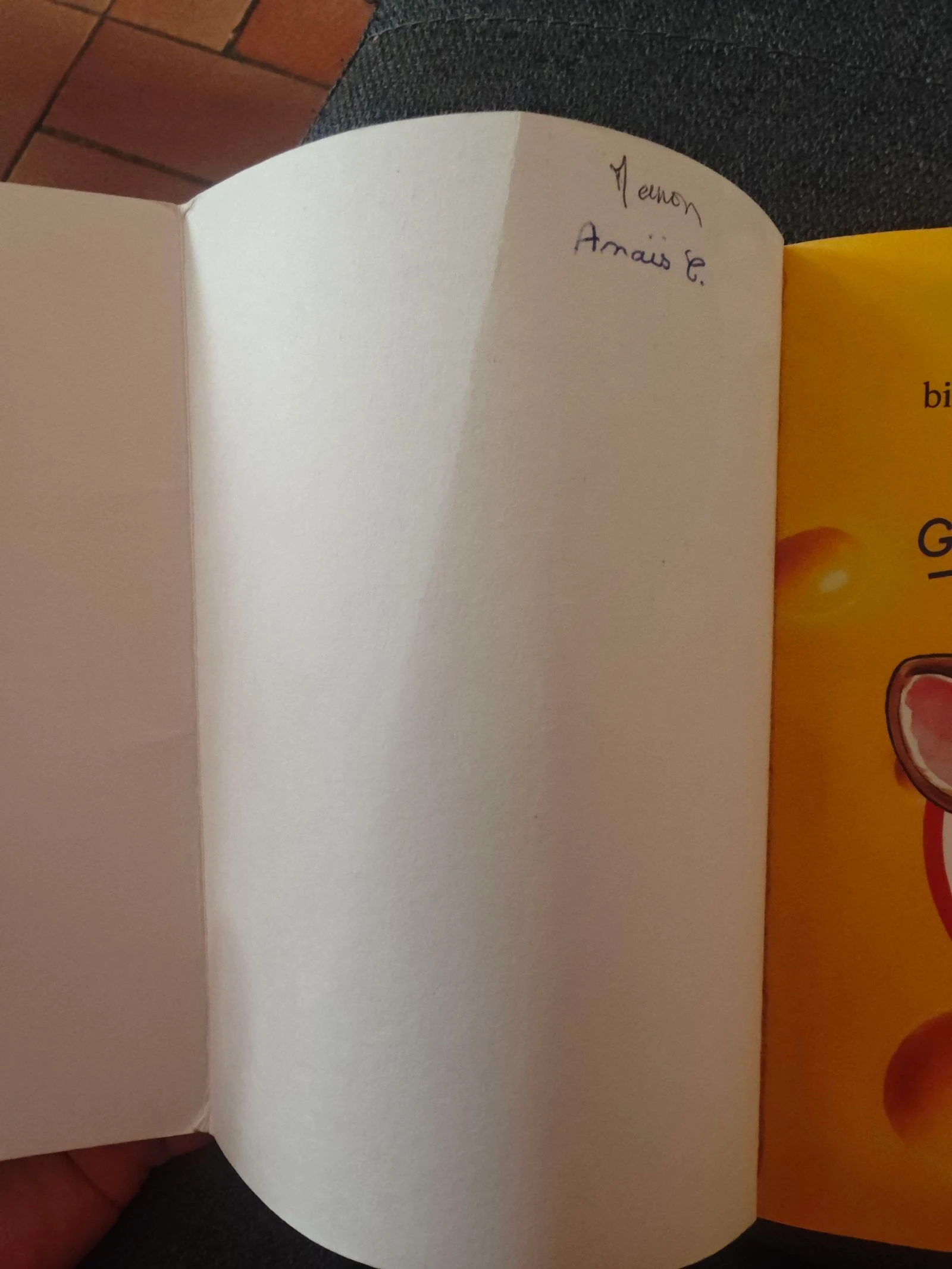 Welkom bij Castel Radin Deel 10 (Geronimo Stilton) – photo 4